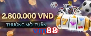 vm88