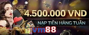 vm88