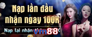 vm88