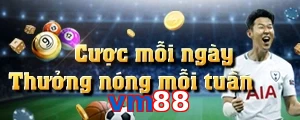 vm88